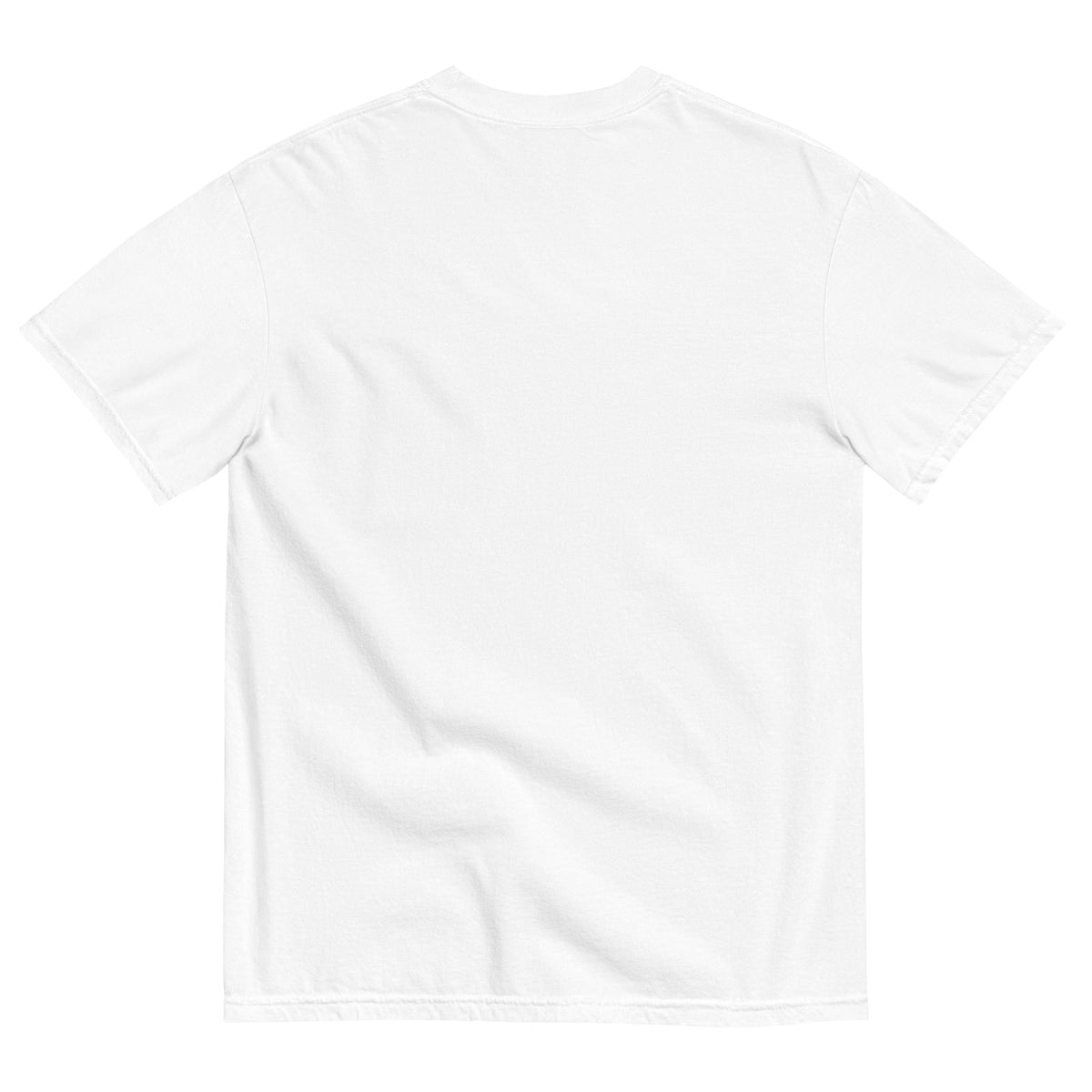 Martial Law Graphic Heavyweight T-Shirt