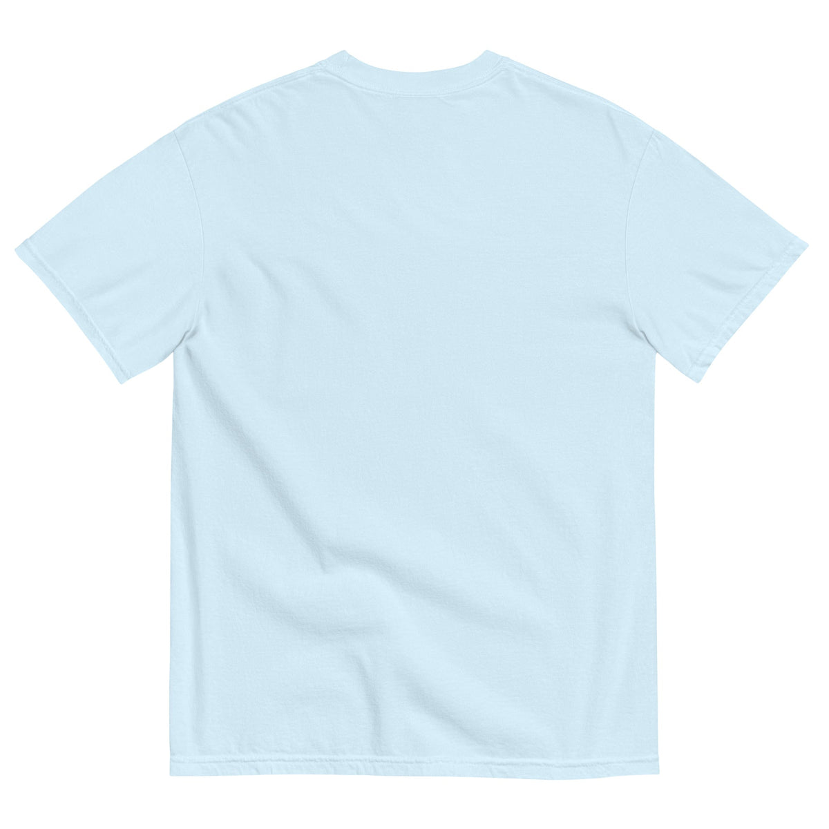 Summit Expeditions Graphic Heavyweight T-Shirt