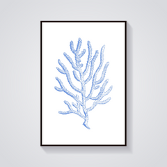 Blue Coral Sketch Poster