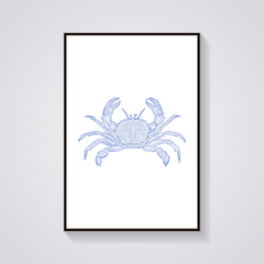 Blue Crab Coastal Poster