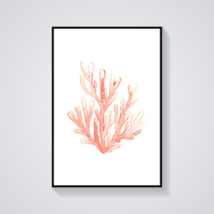 Pink Coral Watercolor Poster