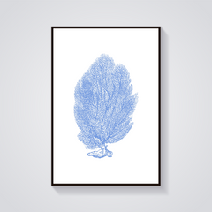Vintage Blue Sea Fan Poster