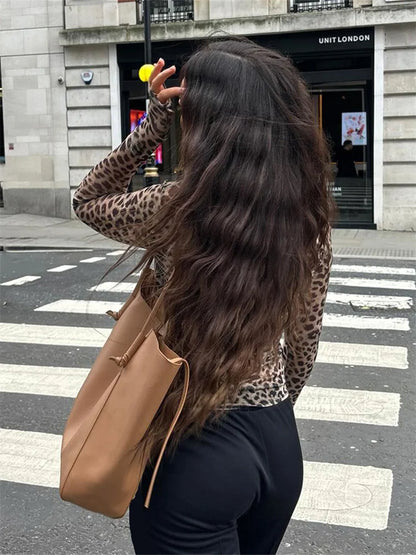 Y2K Sheer Mesh Leopard Print Graphic Long Sleeve Top